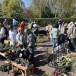 Zonovergoten vierde plantjesmarkt