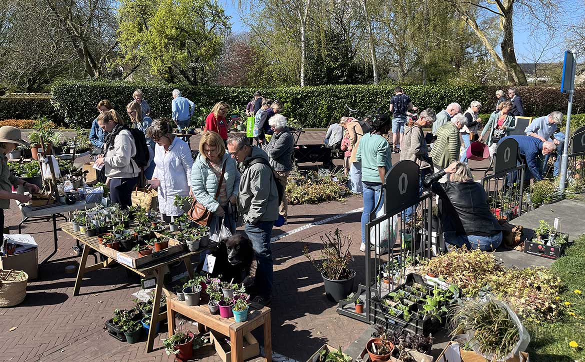 plantjesmarkt