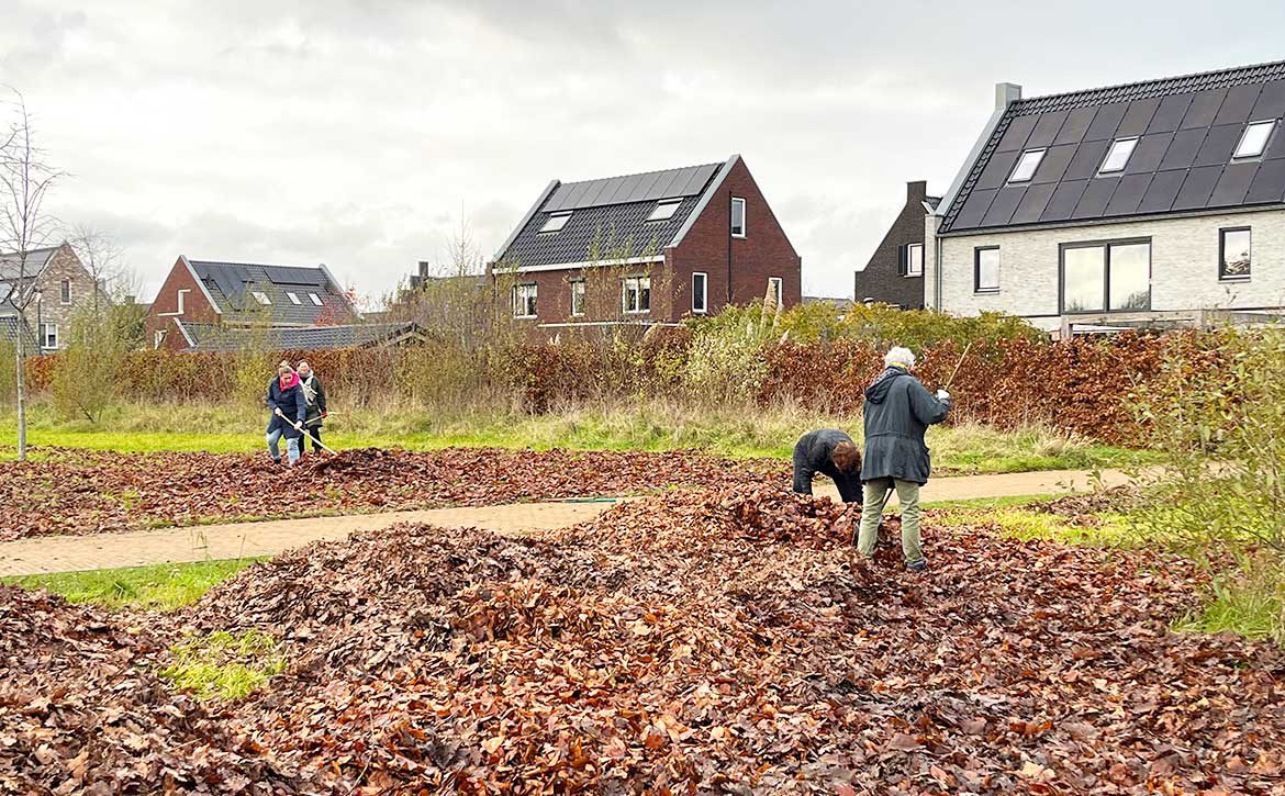 Geslaagde-blaadjesdag