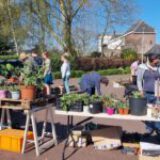 Spaar je plantjes voor de Plantjesmarkt 18 april